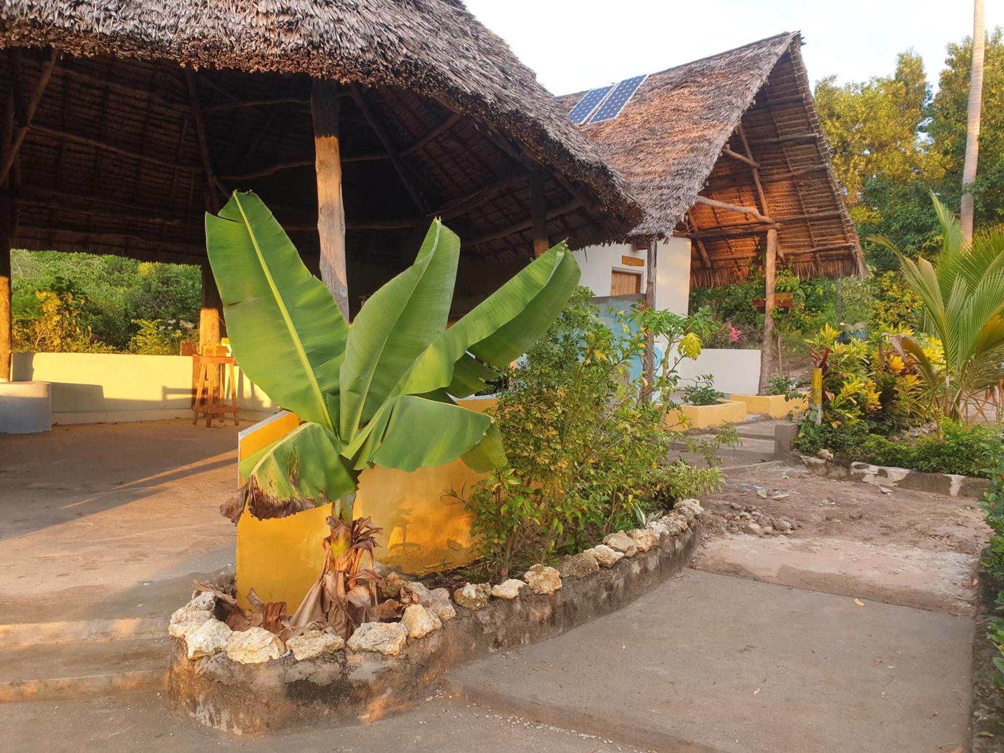 キリンドニ Rasta House Bed & Breakfast エクステリア 写真